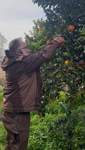 Orangen aus Apulien – 4 kg